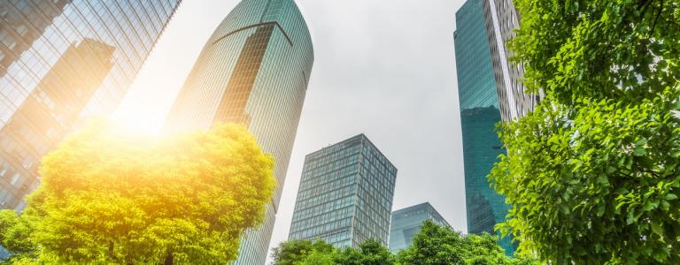 City surrounded by trees