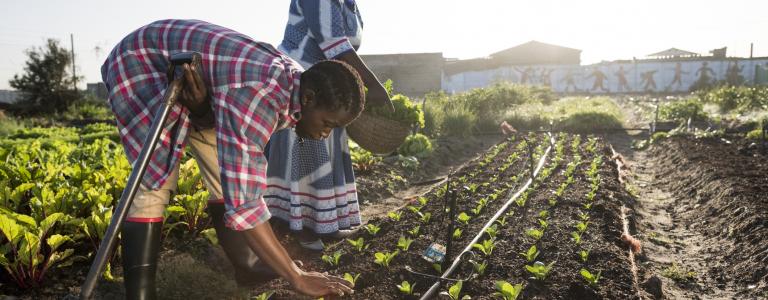 Women working in field garden