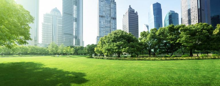 Park in Pudong, Shanghai