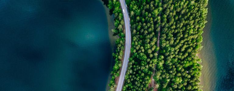 water-road-forest