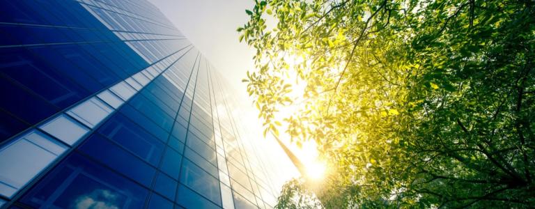 Finance sector building with trees