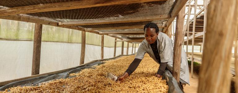 Woman on a coffee farm in Africa