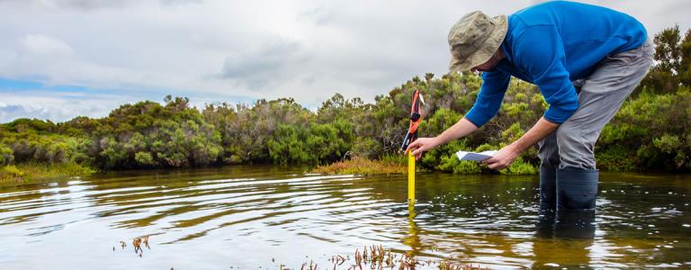 Person monitoring water in wetland pong.