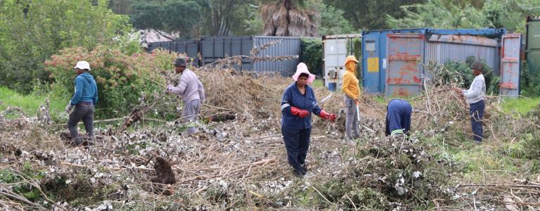 Water for the Future staff working on invasive alien species removal on Jukskei river -SUNCASA