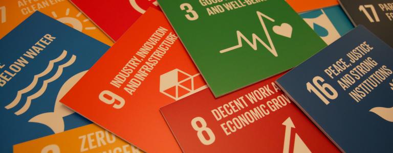 sdg-cards-hlpf.jpg