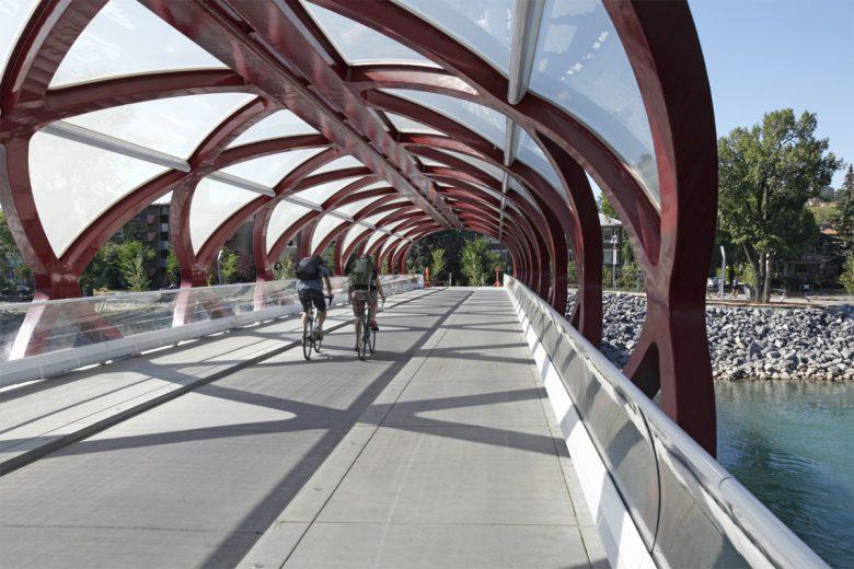 People cycling through bike tunnel