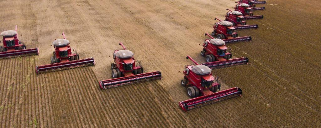 Soybean harvest