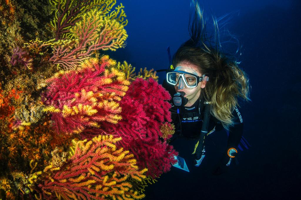 Coral reef diver