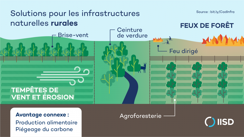 Solutions d'infrastructure naturelle rurales