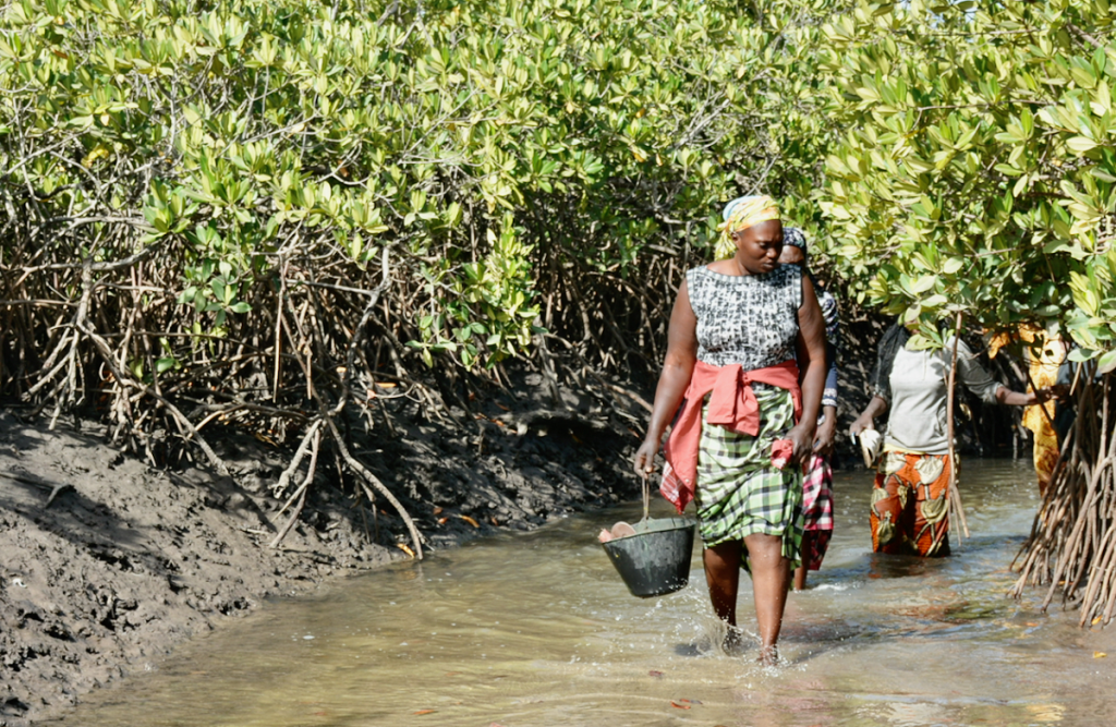 Women walking in Senegal's Saloum Delta