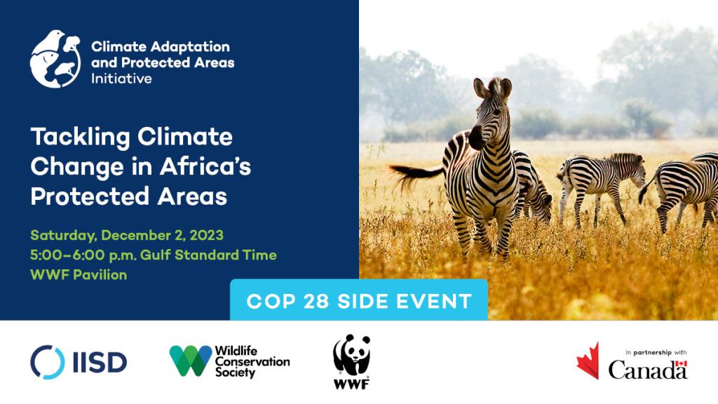 Card announcing CAPA Event at COP 28