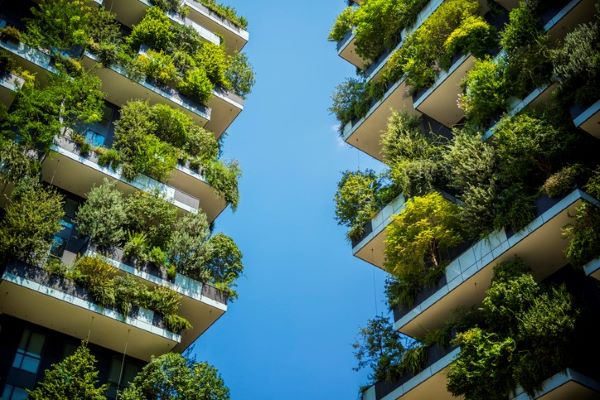 Two tall buildings with balconies covered in plants and blue sky in the middle for story on building back better