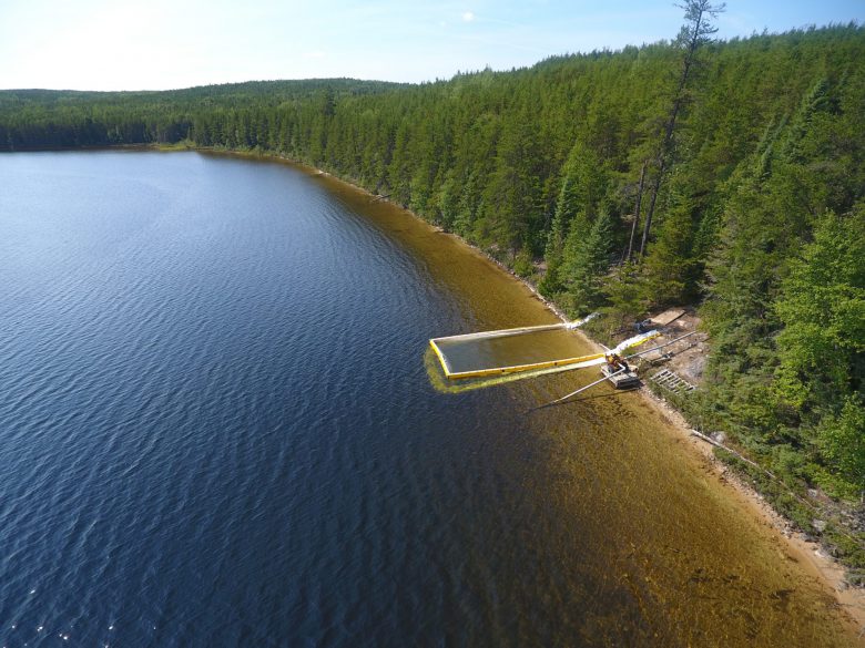 Shoreline at IISD Experimental Lakes Area