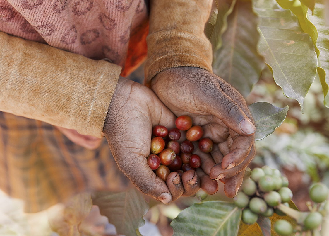 Sustainable farming